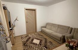 Casa, 110 mp utili, teren 359 mp, zona Brestei/Râului
