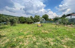 Casa 40 mp, teren 880 mp, zona Leamna de Sus