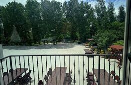 Afacere Salina, restaurant, camere, parcare, teren, 1125 mp, zona Braniste