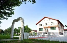 Afacere Salina, restaurant, camere, parcare, teren, 1125 mp, zona Braniste