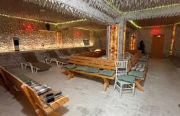 Afacere Salina, restaurant, camere, parcare, teren, 1125 mp, zona Braniste