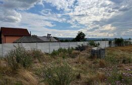 Teren intravilan imprejmuit 1000 mp, total 2550 mp, zona Arginesti