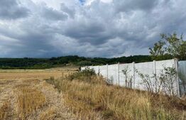 Teren intravilan imprejmuit 1000 mp, total 2550 mp, zona Arginesti