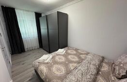 Apartament de inchiriat, 2 camere, parter, 50 mp, zona Craiovita Noua