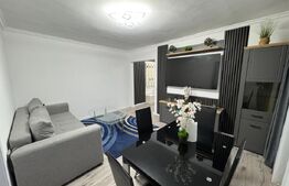 Apartament de inchiriat, 2 camere, parter, 50 mp, zona Craiovita Noua