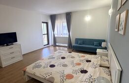 Garsoniera decomandata cu balcon 48 mp, Brestei-Promenada