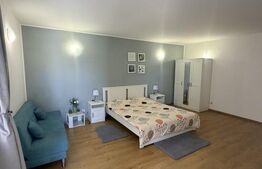 Garsoniera decomandata cu balcon 48 mp, Brestei-Promenada