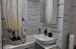 Garsonieră 22 mp, complet renovată, zona Lăpuș -  Electroputere Mall