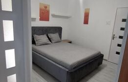 Garsonieră 22 mp, complet renovată, zona Lăpuș -  Electroputere Mall
