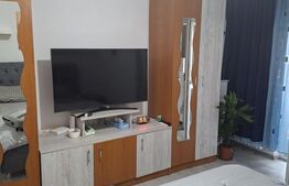 Garsonieră 22 mp, complet renovată, zona Lăpuș -  Electroputere Mall