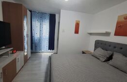 Garsonieră 22 mp, complet renovată, zona Lăpuș -  Electroputere Mall
