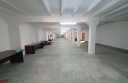 Hală Industrială de Vânzare, 2200 mp – Bariera Vâlcii