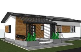 Casa parter, 85 mp utili, 402 mp teren, zona Isalnita
