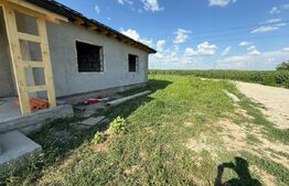 Casa parter, 85 mp utili, 402 mp teren, zona Isalnita