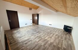 Casa P+1+M+gara, 285 mp, 600 mp teren, zona Bordei 