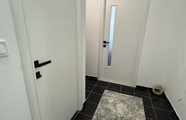 Camera de Cămin, 25 mp, zona Lăpuș, Electro Putere