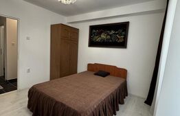 Camera de Cămin, 25 mp, zona Lăpuș, Electro Putere