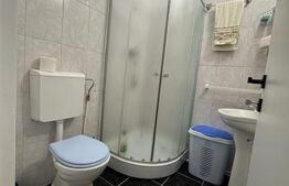 Camera de Cămin, 25 mp, zona Lăpuș, Electro Putere