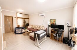 Casă cu curte proprie, 67 mp, zona Damila