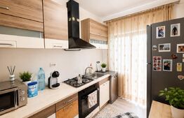 Casă cu curte proprie, 67 mp, zona Damila