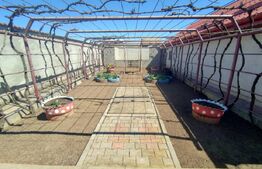 Casa P 5 camere, 140 mp, 1.045 mp curte, 47 m deschidere, zona Bradesti
