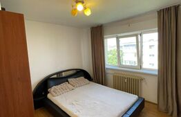 Apartament 2 camere decomandat, 50 mp utili, mobilat și utilat, zona Lăpuș Argeș