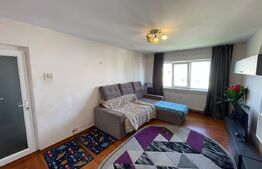 Apartament 2 camere decomandat, 50 mp utili, mobilat și utilat, zona Lăpuș Argeș
