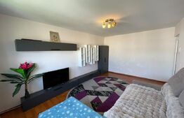 Apartament 2 camere decomandat, 50 mp utili, mobilat și utilat, zona Lăpuș Argeș