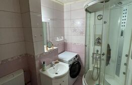 Apartament 2 camere decomandat, 50 mp utili, mobilat și utilat, zona Lăpuș Argeș