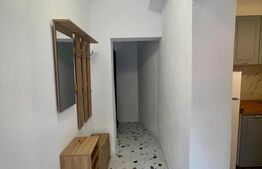 Garsonieră 40 mp, centrala si AC, zona Centru-Universitate