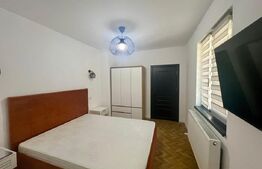 Garsonieră 40 mp, centrala si AC, zona Centru-Universitate