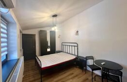 Garsonieră 30 mp, centrala proprie si AC, zona Centru-Universitate