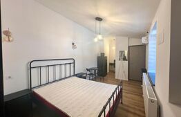 Garsonieră 30 mp, centrala proprie si AC, zona Centru-Universitate