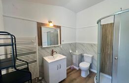 Garsonieră 30 mp, centrala proprie si AC, zona Centru-Universitate