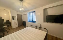 Garsonieră 30 mp, centrala proprie si AC, zona Centru-Universitate