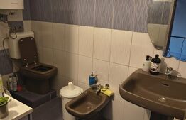 Casă de vânzare, 100 mp, locuibila, complet mobilata, zona Filiasi