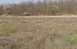 Teren intravilan, 1293 mp, zona Damila 