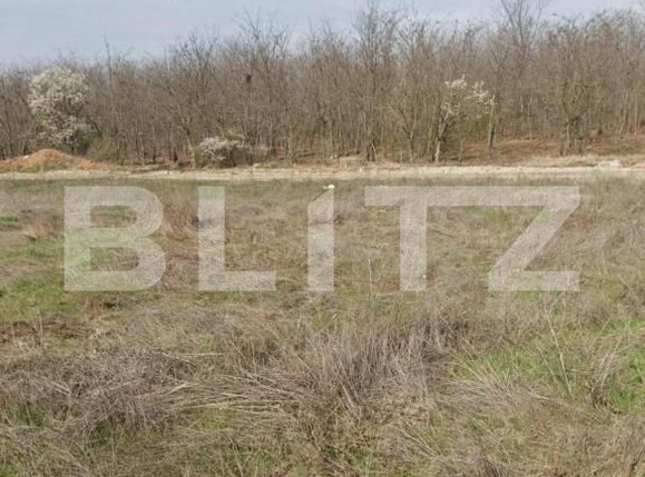 Teren de vânzare Exterior Est - 199418TV | BLITZ Craiova | Poza1