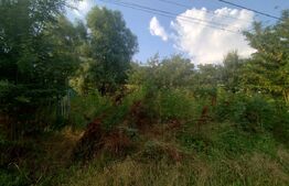 Teren intravilan stradal,  1200 mp, 25 m deschidere, Leamna de Sus