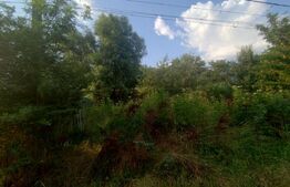 Teren intravilan stradal,  1200 mp, 25 m deschidere, Leamna de Sus