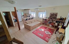 Casă de vacanță, 5 camere 100 mp utili, 3400 mp teren, zona Leamna