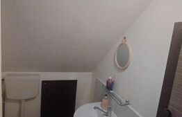 Casă de vacanță, 5 camere 100 mp utili, 3400 mp teren, zona Leamna