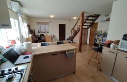 Casă de vacanță, 5 camere 100 mp utili, 3400 mp teren, zona Leamna