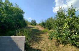 Casă de vacanță, 5 camere 100 mp utili, 3400 mp teren, zona Leamna