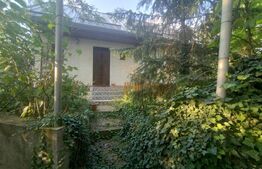 Casă de vacanță, 5 camere 100 mp utili, 3400 mp teren, zona Leamna