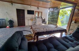 Casă de vacanță, 5 camere 100 mp utili, 3400 mp teren, zona Leamna