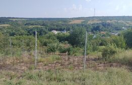 Casă de vacanță, 5 camere 100 mp utili, 3400 mp teren, zona Leamna
