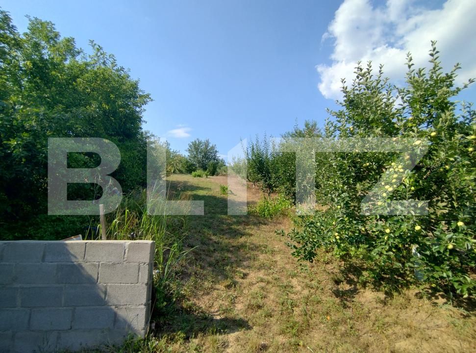 Casa de vânzare 5 camere Leamna de Sus - 199465CV | BLITZ Craiova | Poza7