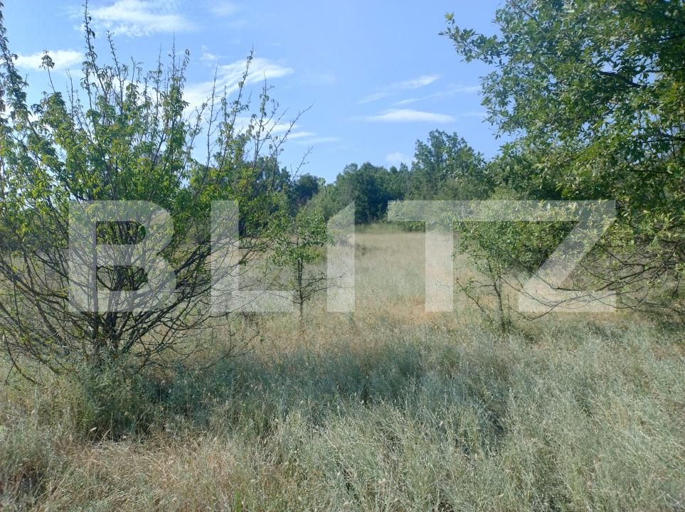 Casa de vânzare 5 camere Leamna de Sus - 199465CV | BLITZ Craiova | Poza18