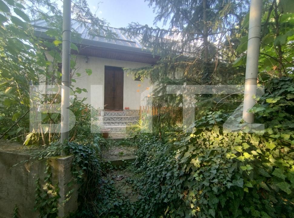 Casa de vânzare 5 camere Leamna de Sus - 199465CV | BLITZ Craiova | Poza3